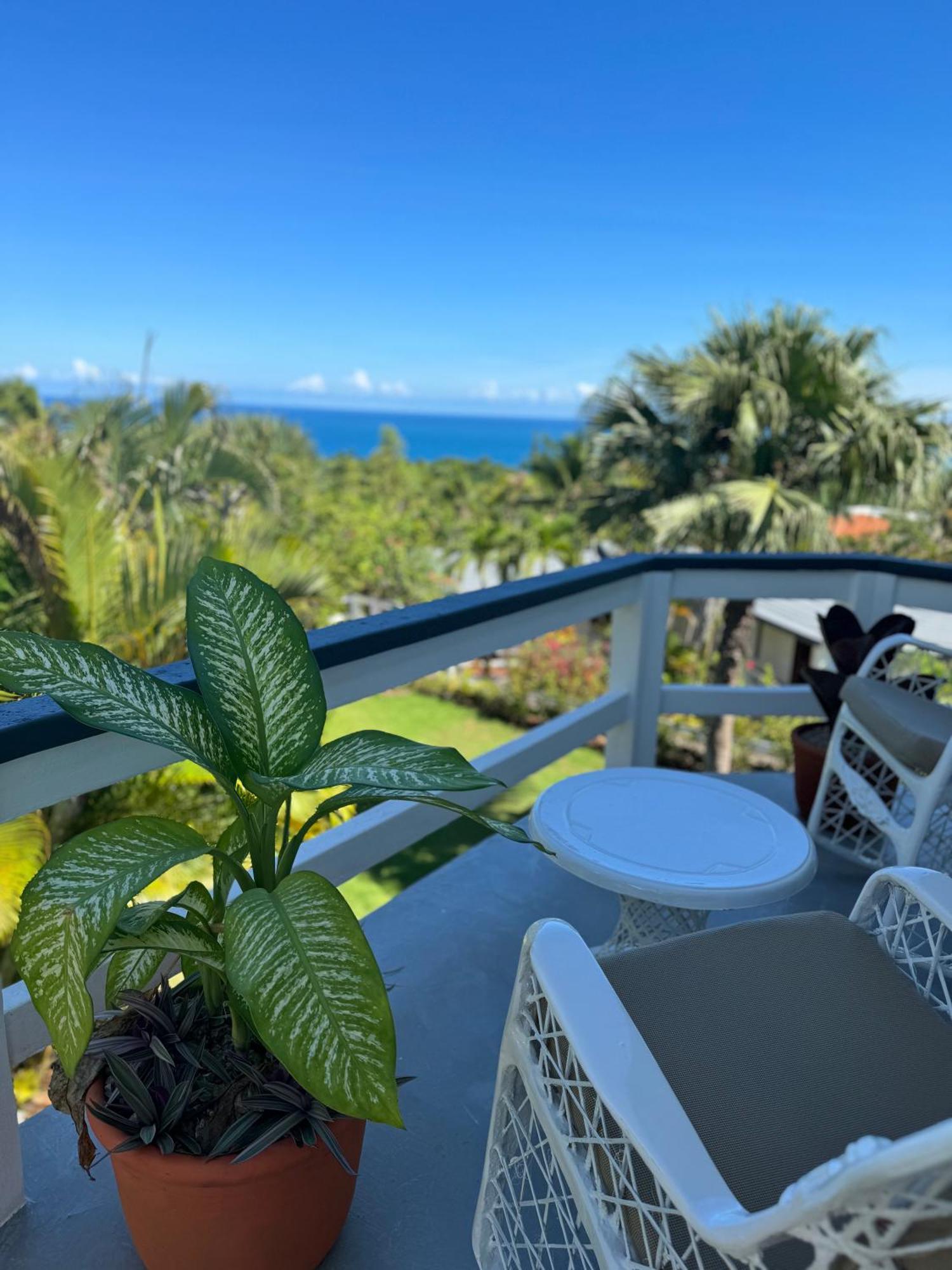 Catalina, Cabrera Oceanview Multi 2 Bd 2 Bath Condo Units With Balcony And Pool Exterior photo